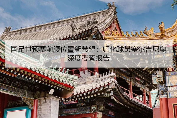 guo-zu-shi-yu-sai-qian-yao-wei-zhi-xin-xi-wang-gui-hua-qiu-yuan-sai-er-ji-ni-ao-shen-du-kao-cha-bao-gao-2-830.jpg