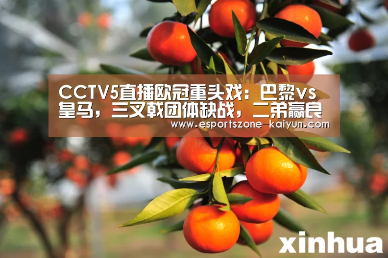 开云篮球