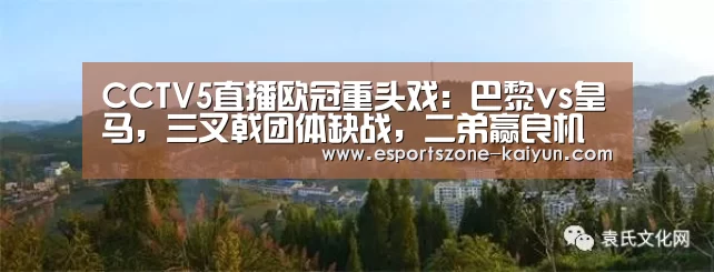 开云篮球